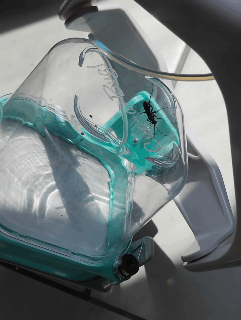 Thank you for making Cup-A-Bug!  We had to use it today to catch a large wasp that somehow made it into our house.  Easy to catch humanely and set free outside after!
Thanks,
Jessica
